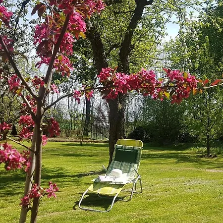 Couette-café Folwark Goscino-dwor Gościno