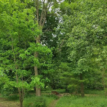 Folwark Goscino-dwor * Gościno