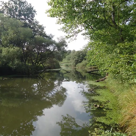 Couette-café Folwark Goscino-dwor Gościno