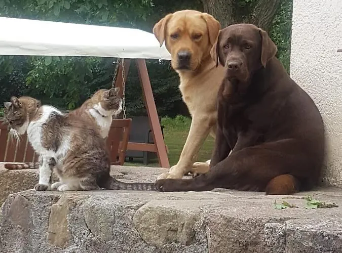 Bed & Breakfast Folwark Goscino-dwor Gościno