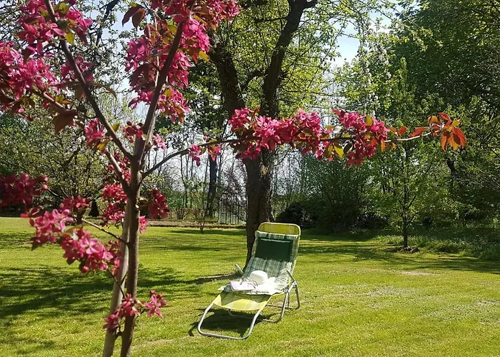 Bed & Breakfast Folwark Goscino-dwor Gościno