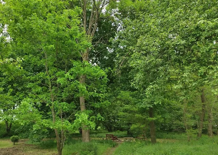 Folwark Goscino-dwor * Gościno