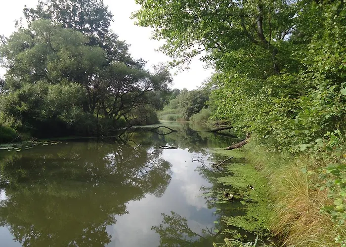 Bed & Breakfast Folwark Goscino-dwor Gościno