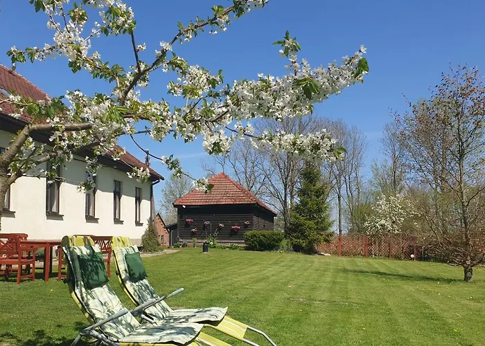 Bed & Breakfast Folwark Goscino-dwor